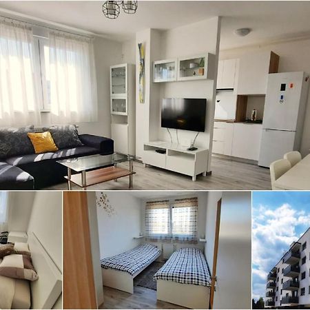 Apartment Mrvica Near The Zagreb Airport Velika Gorica Eksteriør billede
